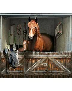 Garagentorplane Pferde Box