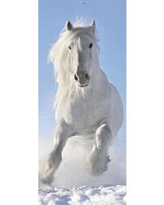 Türplane White Horse in Snow